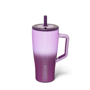 Era 30oz | Violet Crush