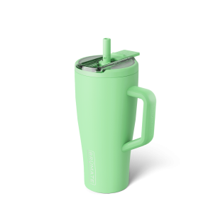 Era Flip 30oz | Kiwi